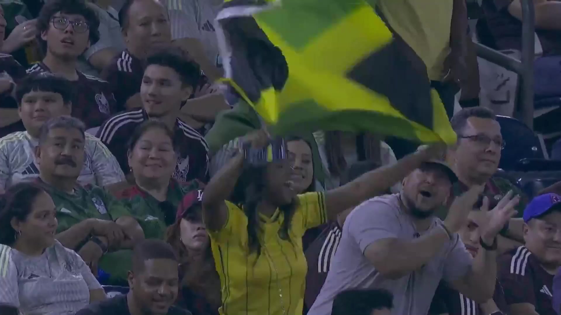 激情舞旗！这位牙买加女球迷我看也是风韵犹存呀